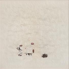 Picnic Point-North Lynnwood Washington Back Page Hook Up