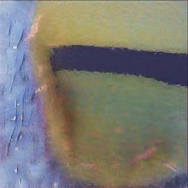 Call Girls Close To Me