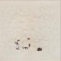 Local Girls For Fuck Georgia