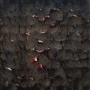 Backpage Asian Escorts