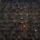 Backdoor Escort Service Picnic Point-North Lynnwood