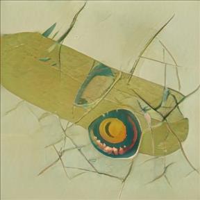 New Mexico Local Sluts Com