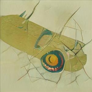 Women Seeking Backpage