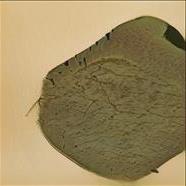 Free Slut Site Glenville Ohio